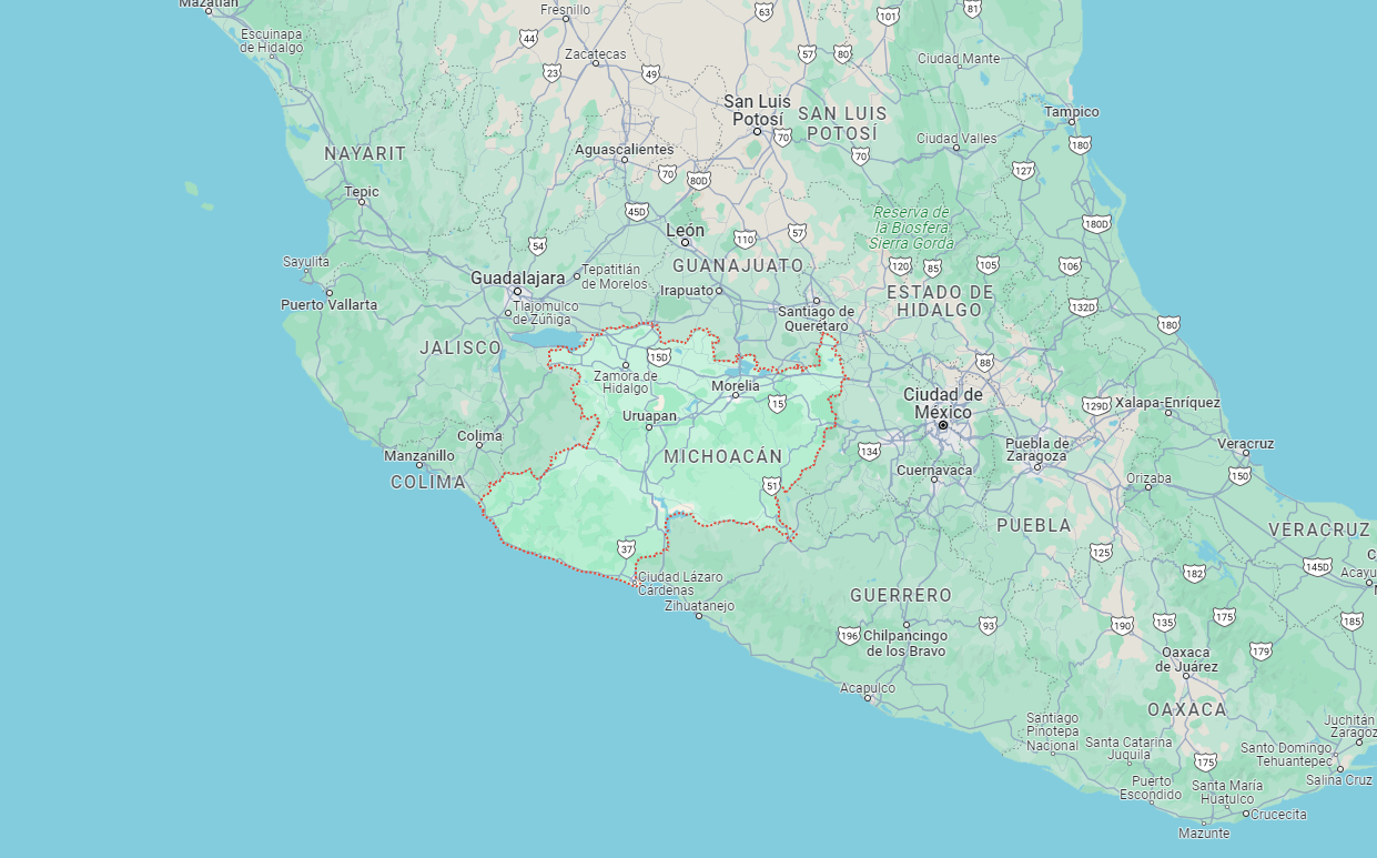 Clínicas Veterinarias en Michoacán