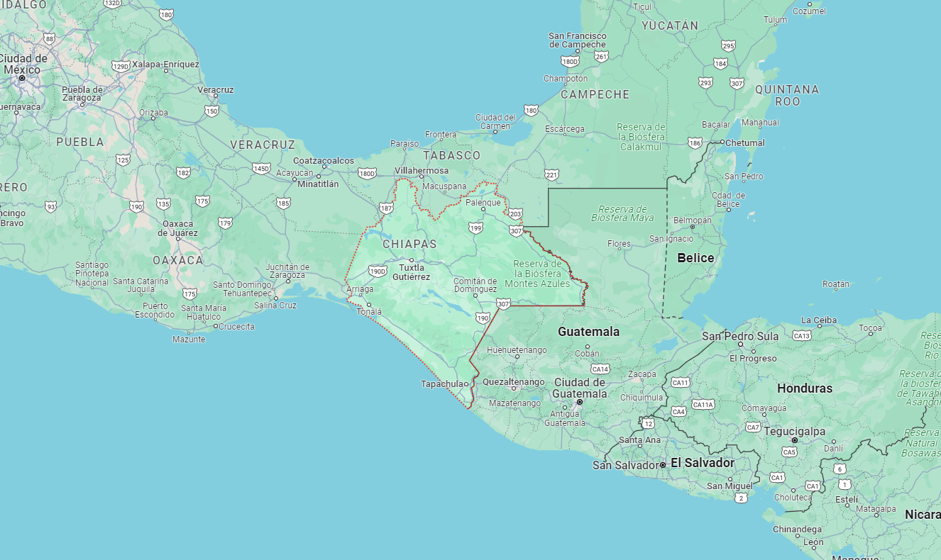 Clínicas Veterinarias en Chiapas